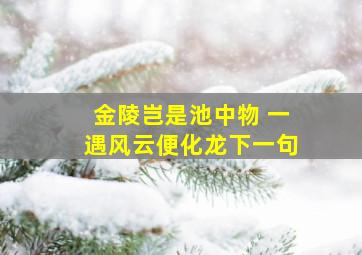 金陵岂是池中物 一遇风云便化龙下一句